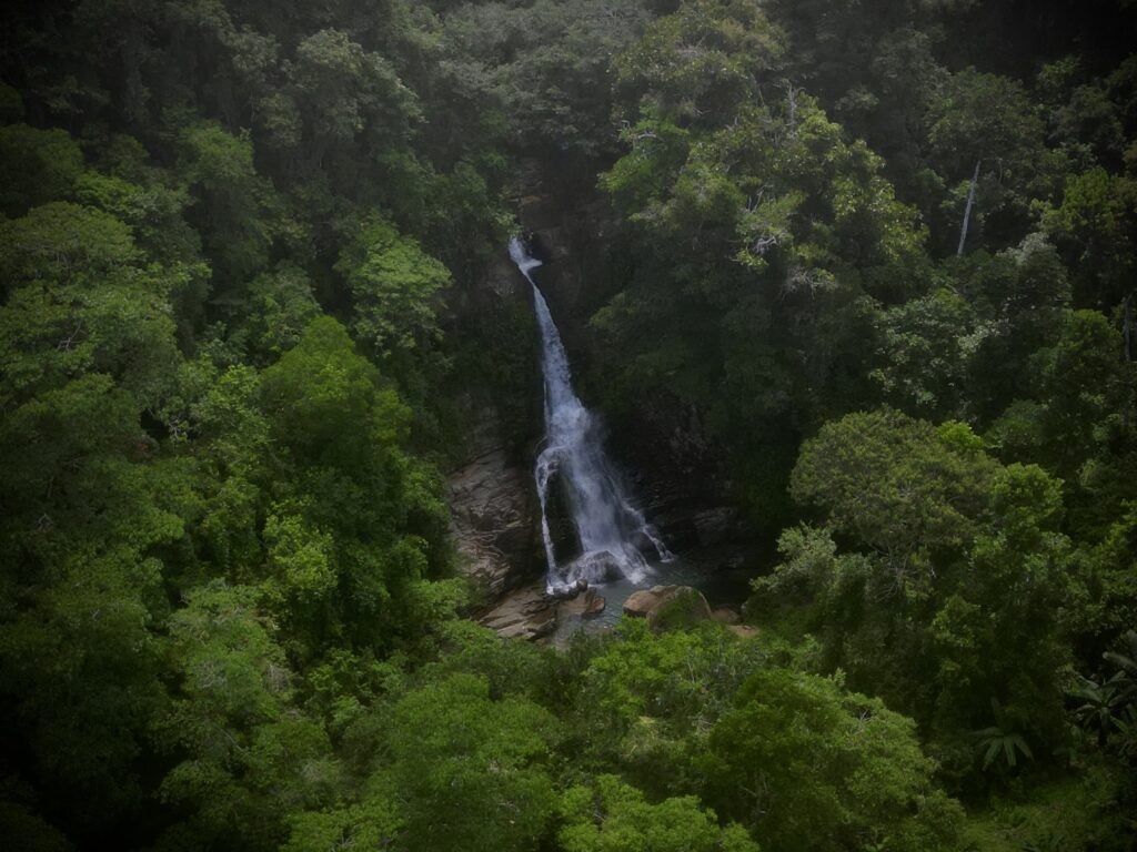 Finca Corazon 2