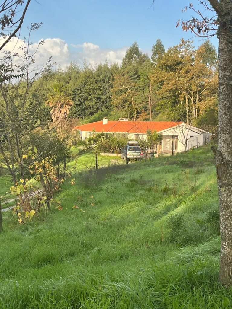 Instituto de Transformacion - Transformation trip Portugal