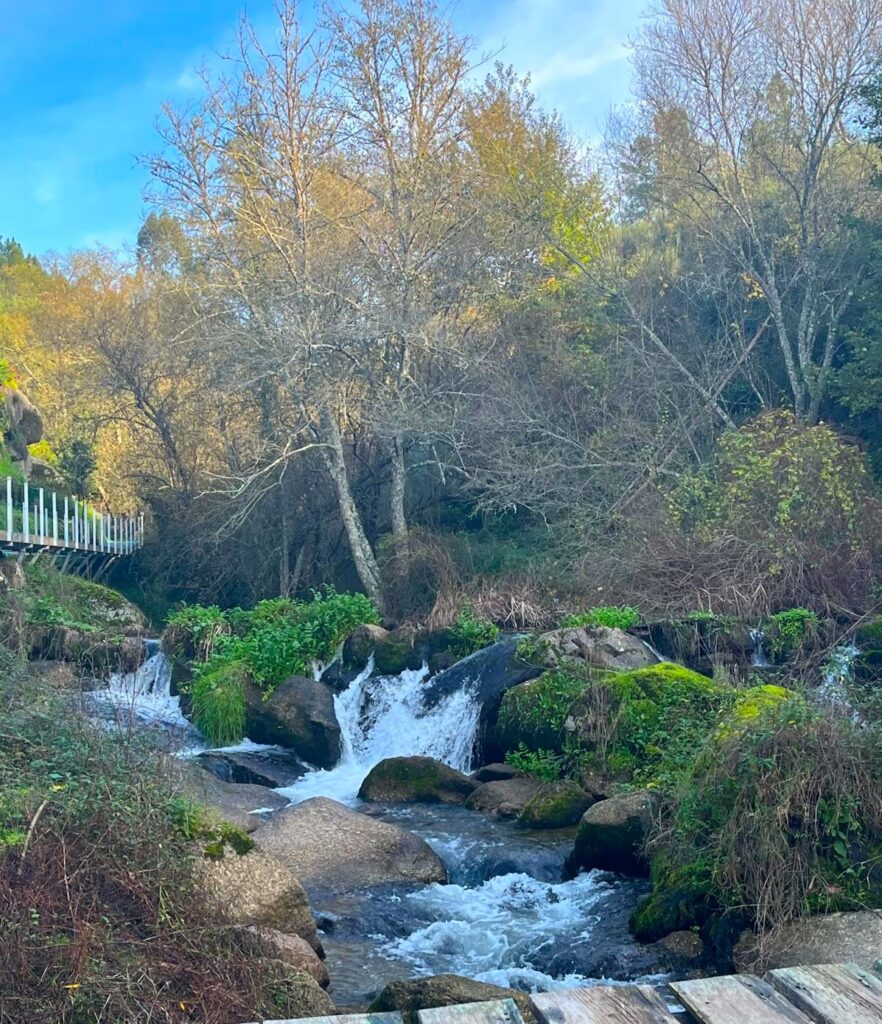 Instituto de Transformacion - Transformation trip Portugal 2