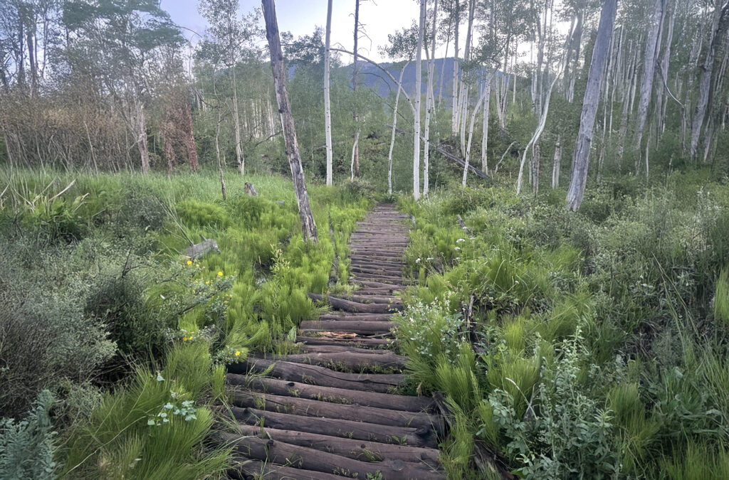 Aurum Retreats 2