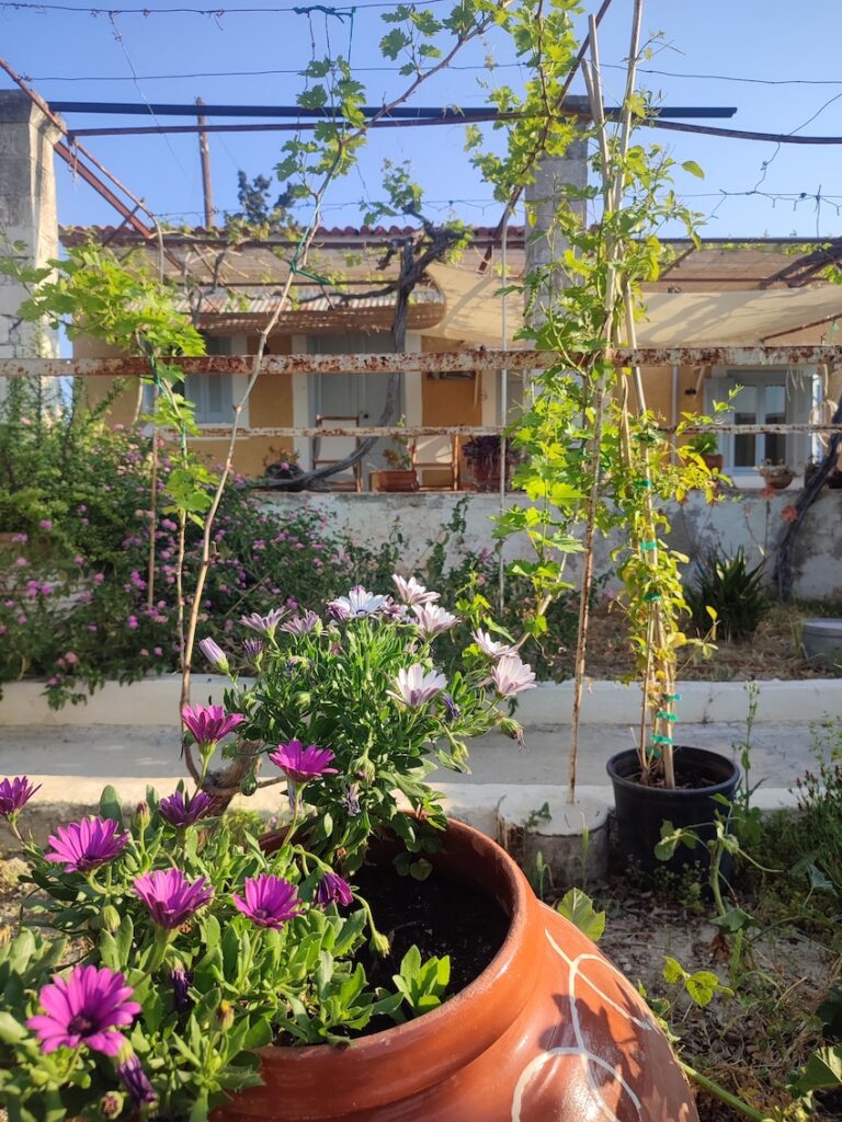 Aegina Retreats