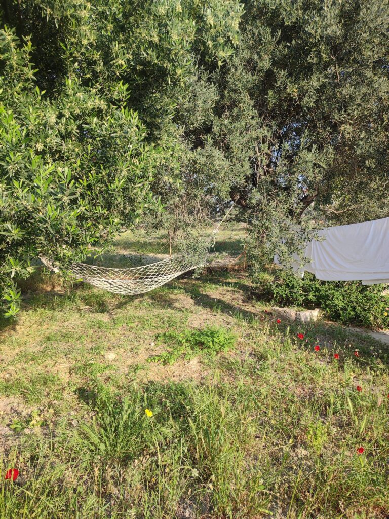 Aegina Retreats 5