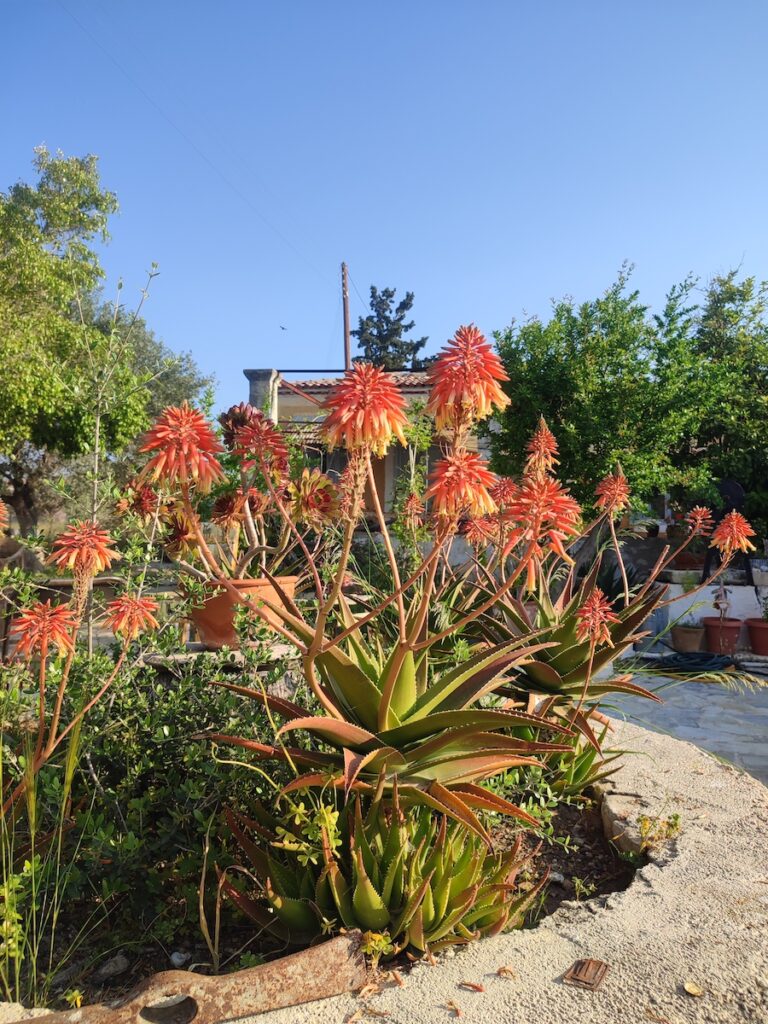 Aegina Retreats 6