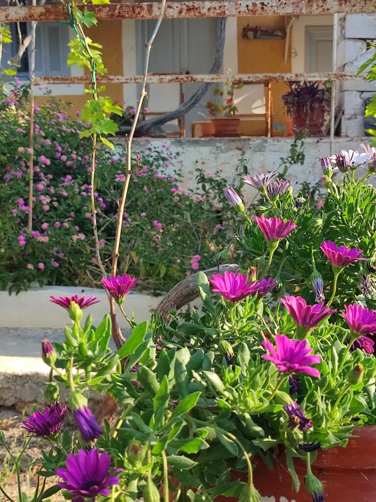 Aegina Retreats 8
