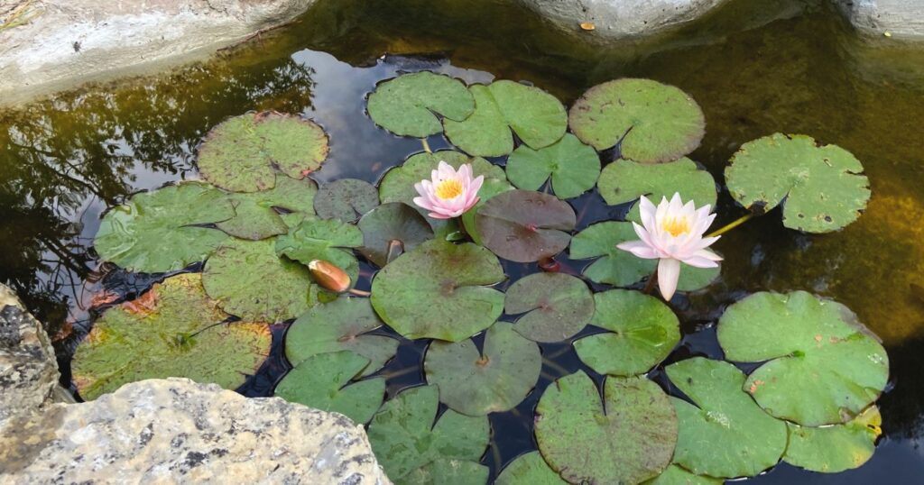 IKRC CENTRO INT DE RETIRO KADAMPA 4