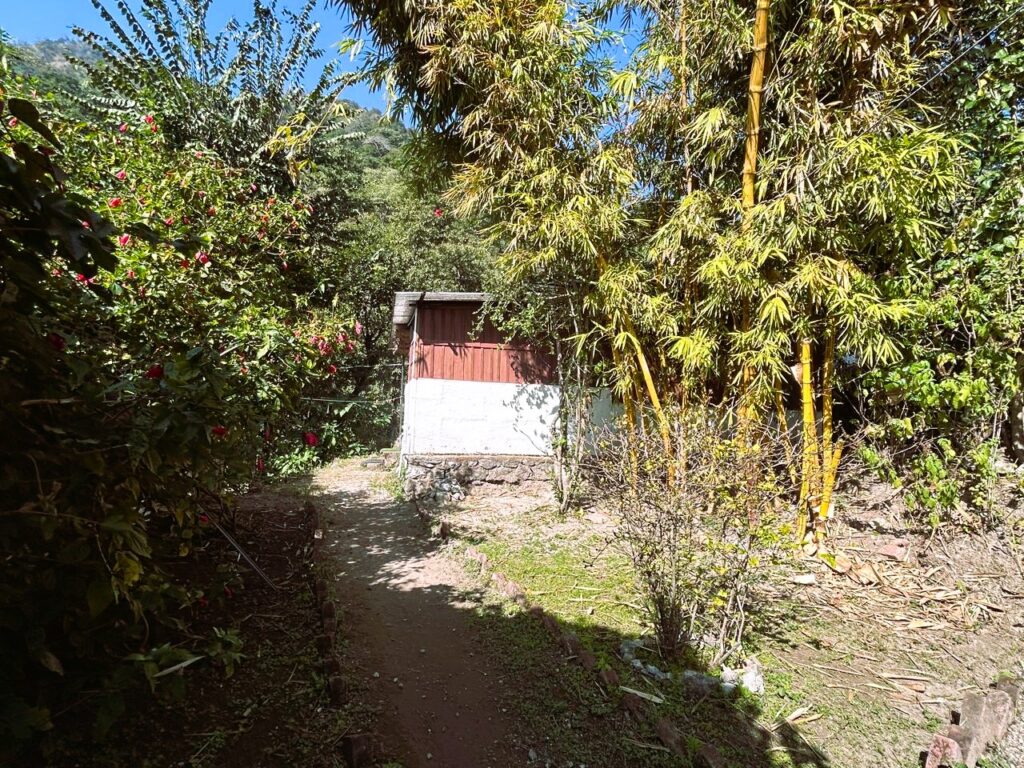 Raseshvari Yoga 3