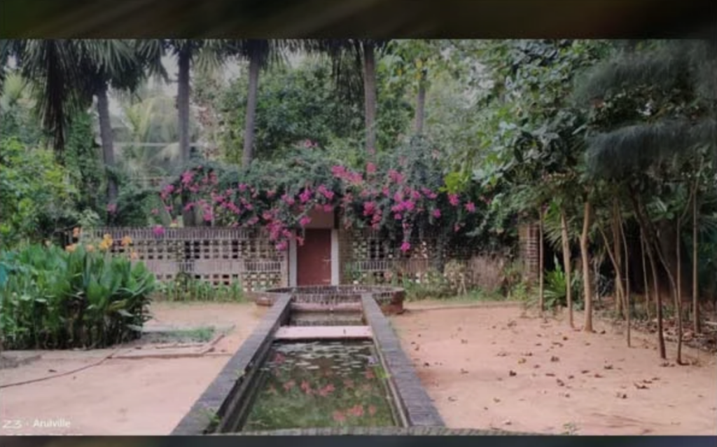 SoulFlow India 3