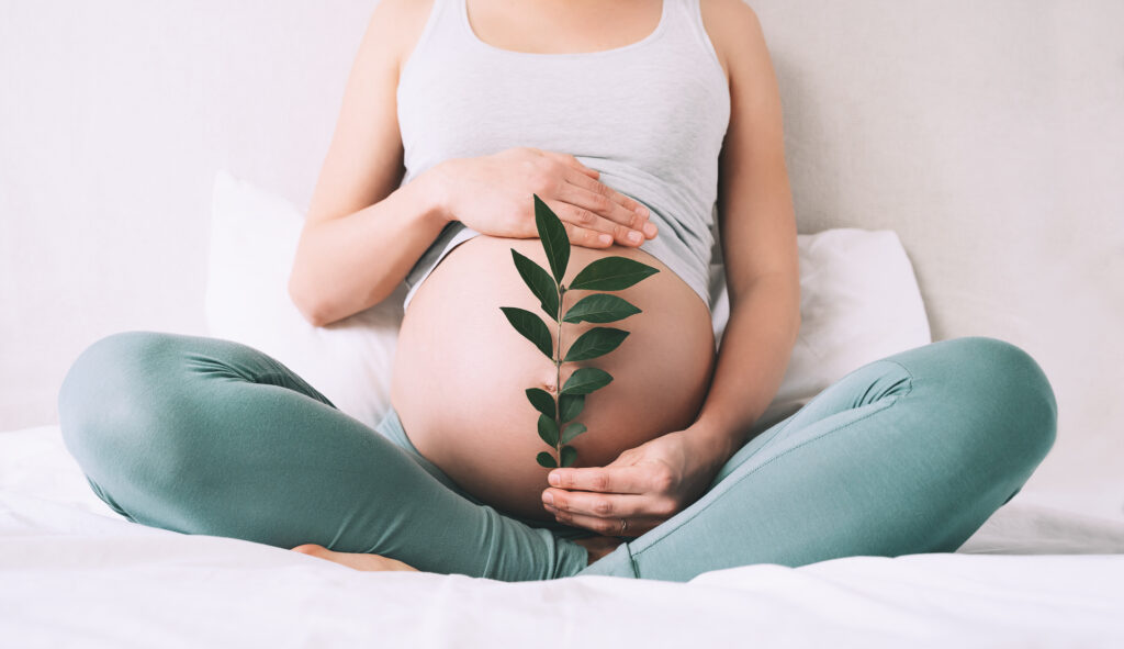 Pregnancy and Wellness Retreat