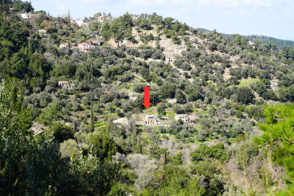 YogaTaoTantraTemple 7