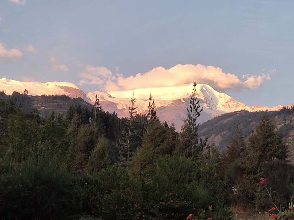 Amazon meets the Andes: Ayahuasca to Huachuma trip in Chavin
