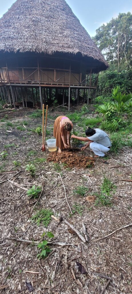 Takinuna Healing Centre 8