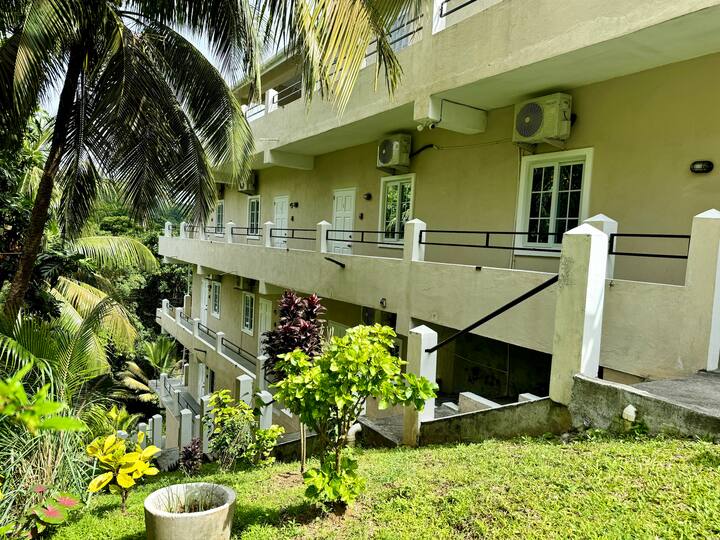 Alafia Holistic 3