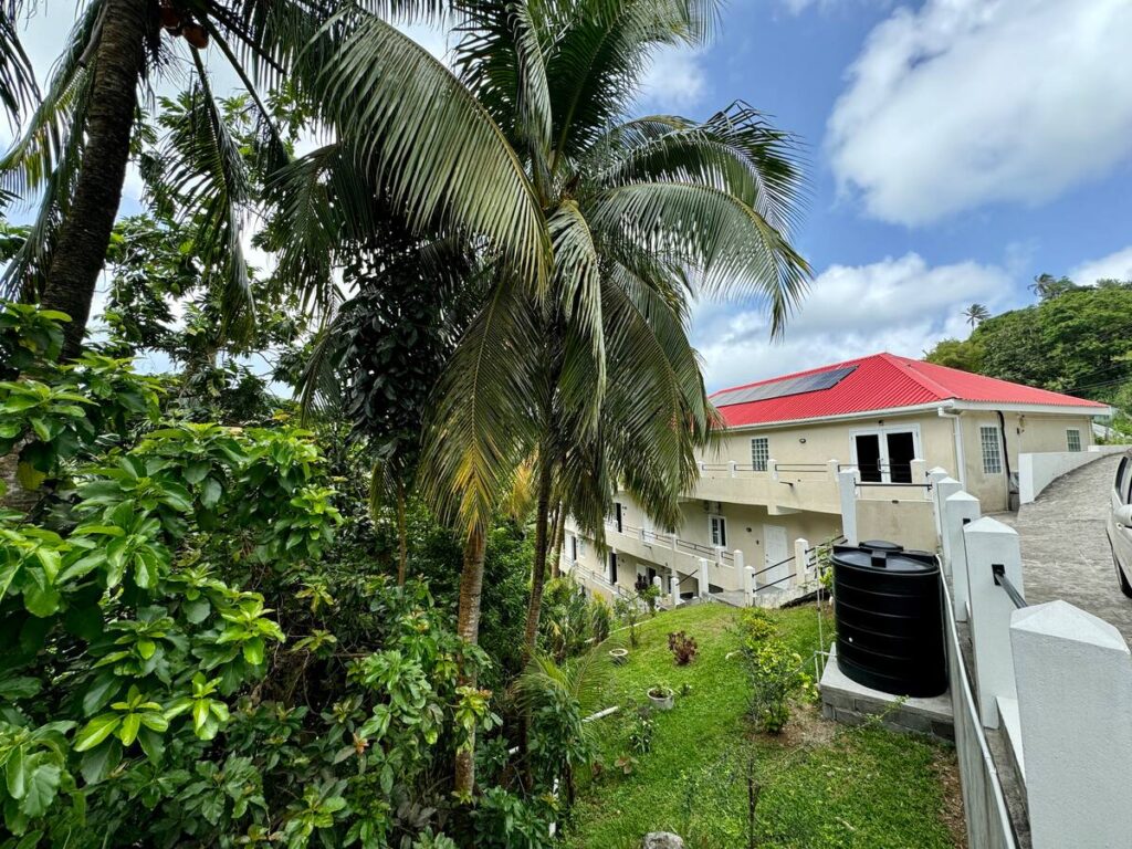 Alafia Holistic 2