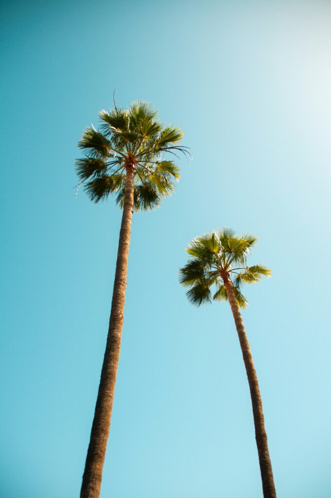UNDER THE SUN - Yoga and Beach Retreats 7