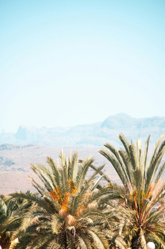 UNDER THE SUN - Yoga and Beach Retreats 5