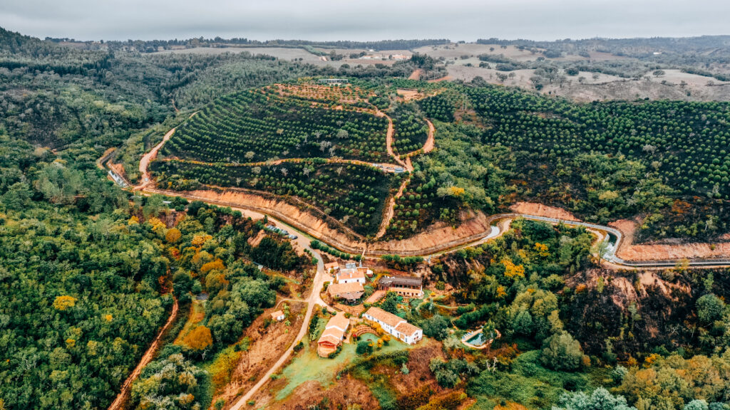 Monte da Orada 6