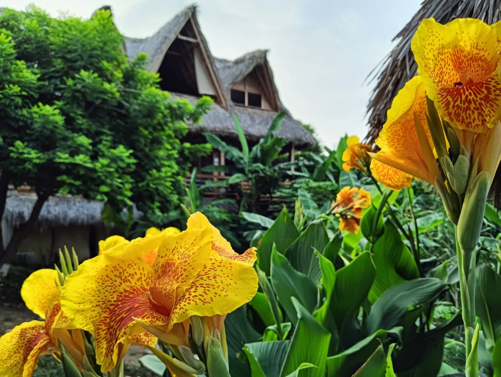Sweet Retreats 5