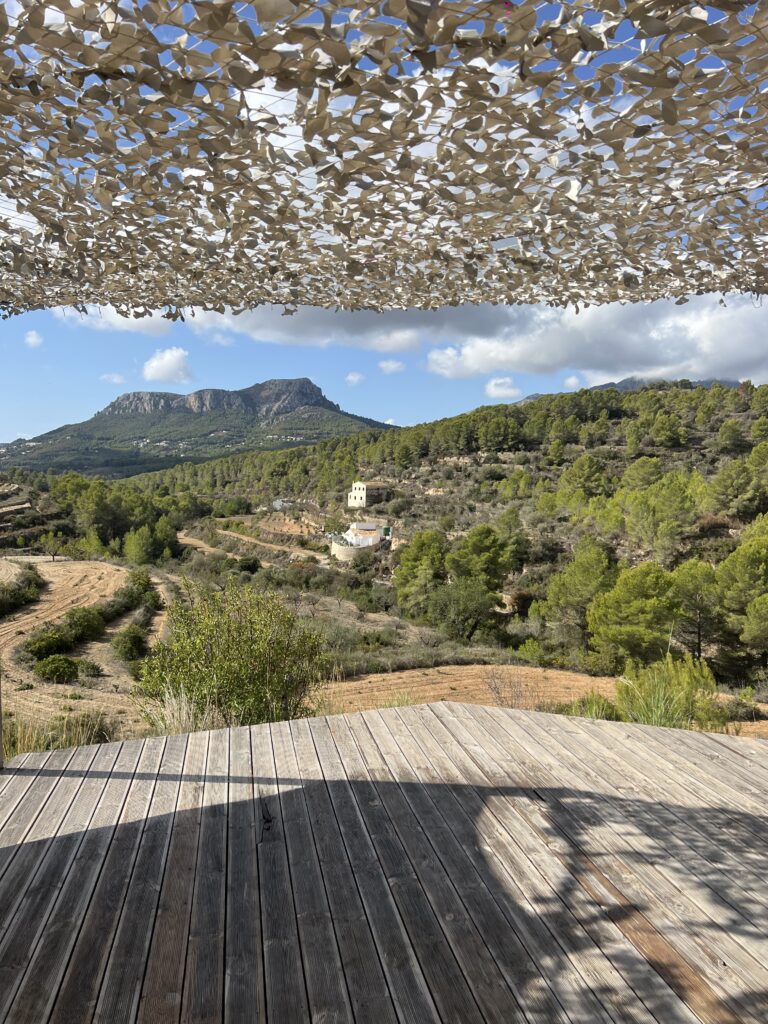 ELEVATE YOGA RETREATS 7