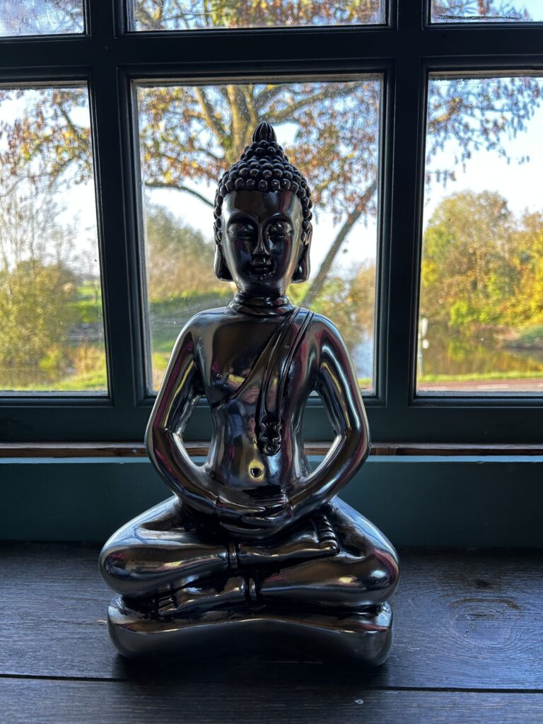 Ayurvedic Panchakarma Wellness Retreat 2