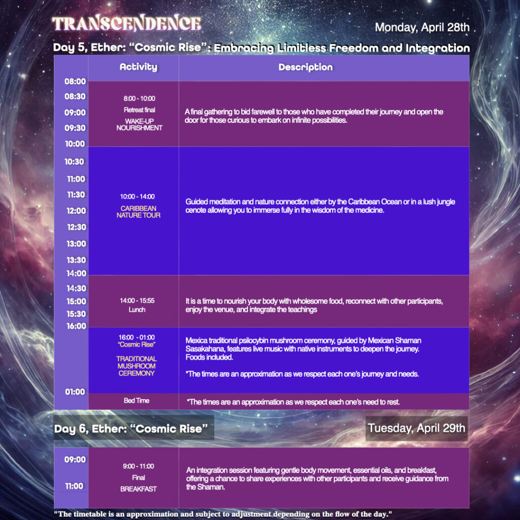 Transcendence Retreats 7