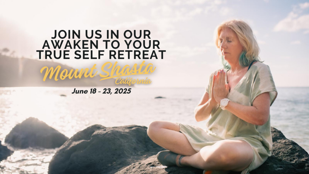 Dolphin Touch Wellness Center 5