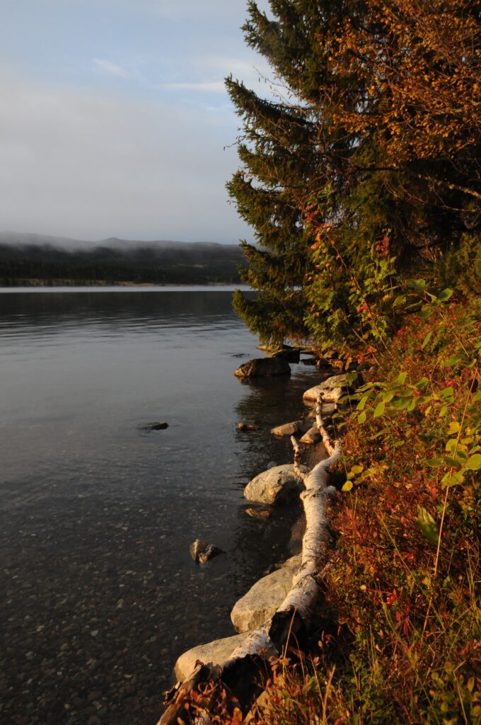 Whispers of the Wild - Soulful Retreats for Women in Lapland 7