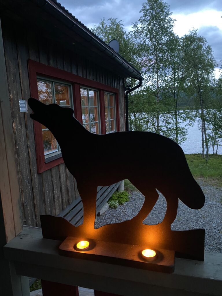 Whispers of the Wild - Soulful Retreats for Women in Lapland 8