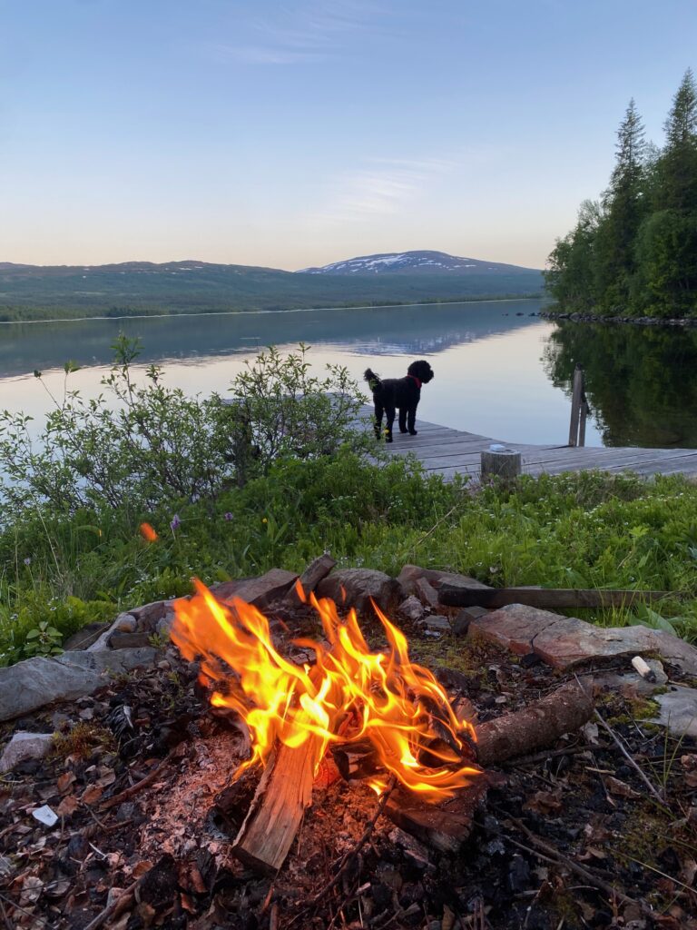 Whispers of the Wild - Soulful Retreats for Women in Lapland 2