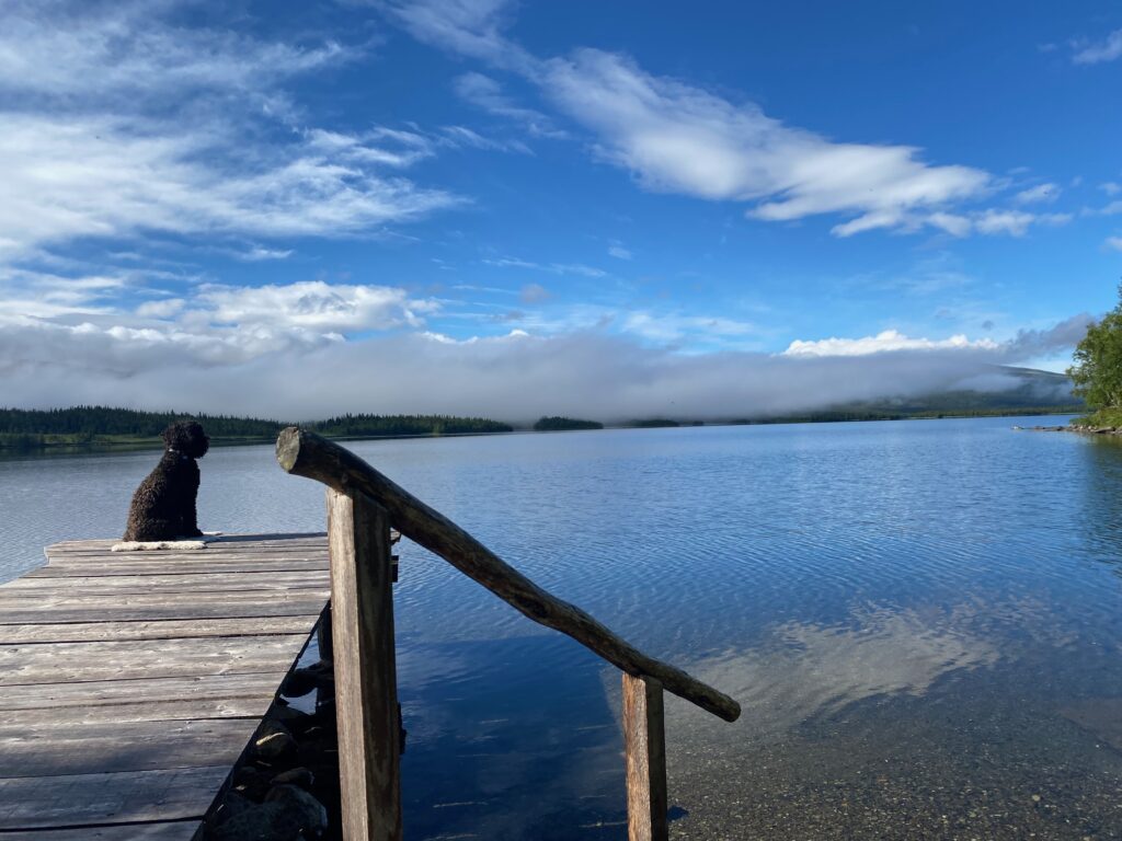 Whispers of the Wild - Soulful Retreats for Women in Lapland 6