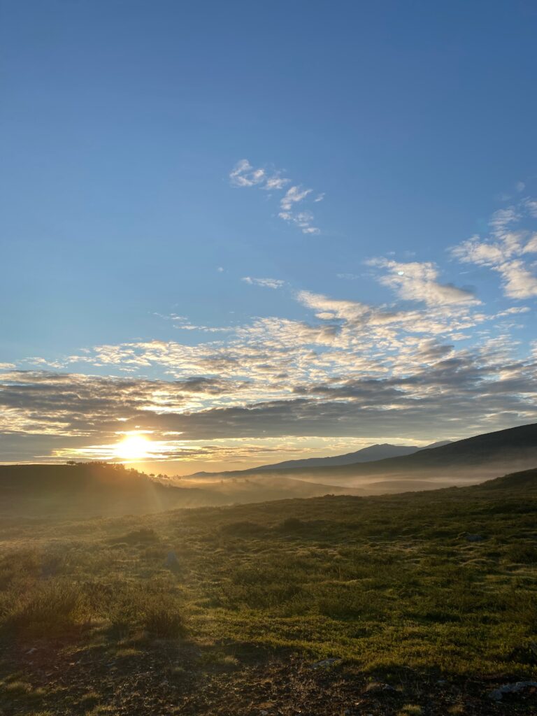 Whispers of the Wild - Soulful Retreats for Women in Lapland 5