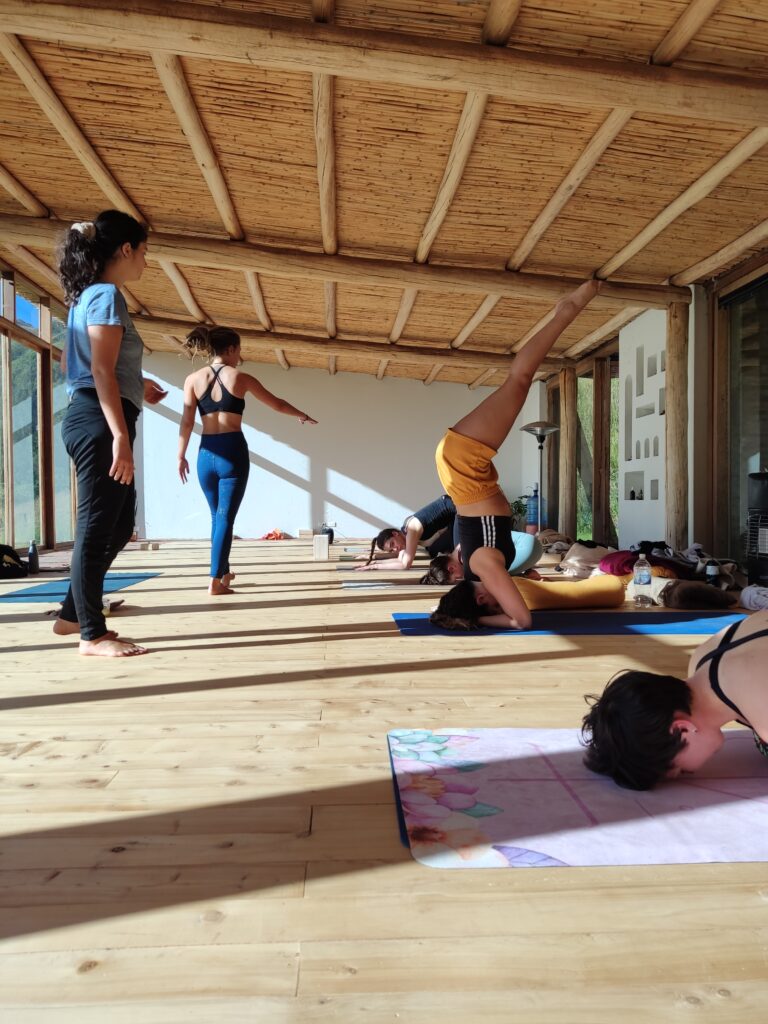 Saphi Yoga Farm Ecuador 3