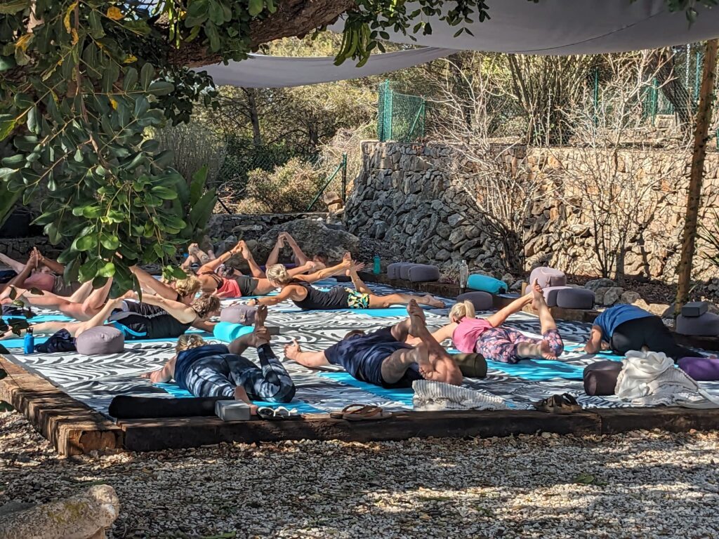 Dharmabelle Yoga and Wellbeing 6