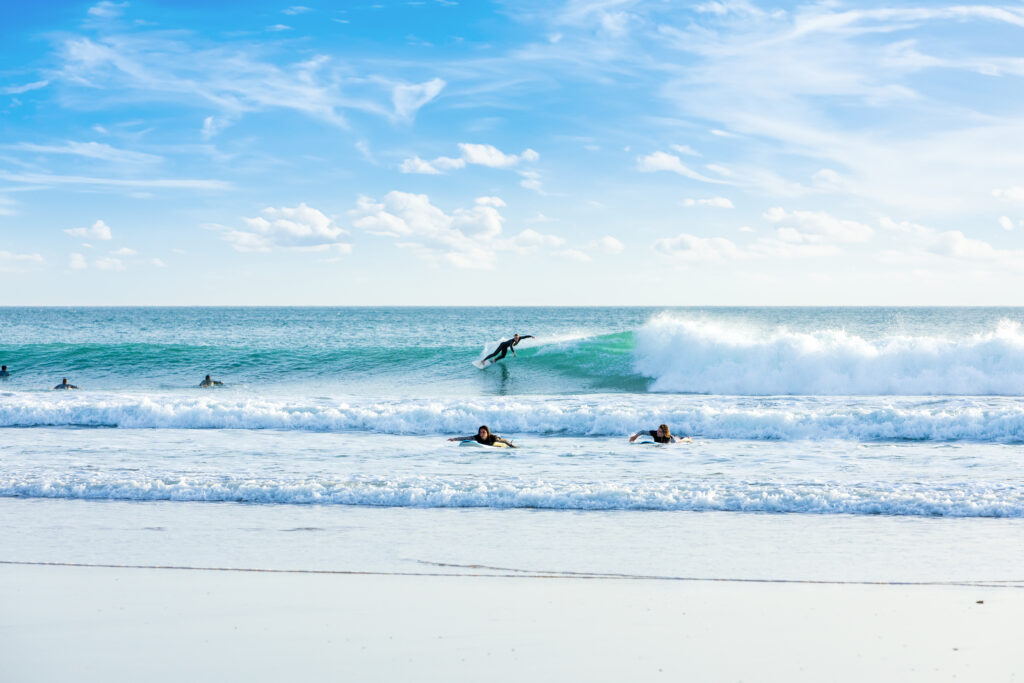 Surf Your Life
