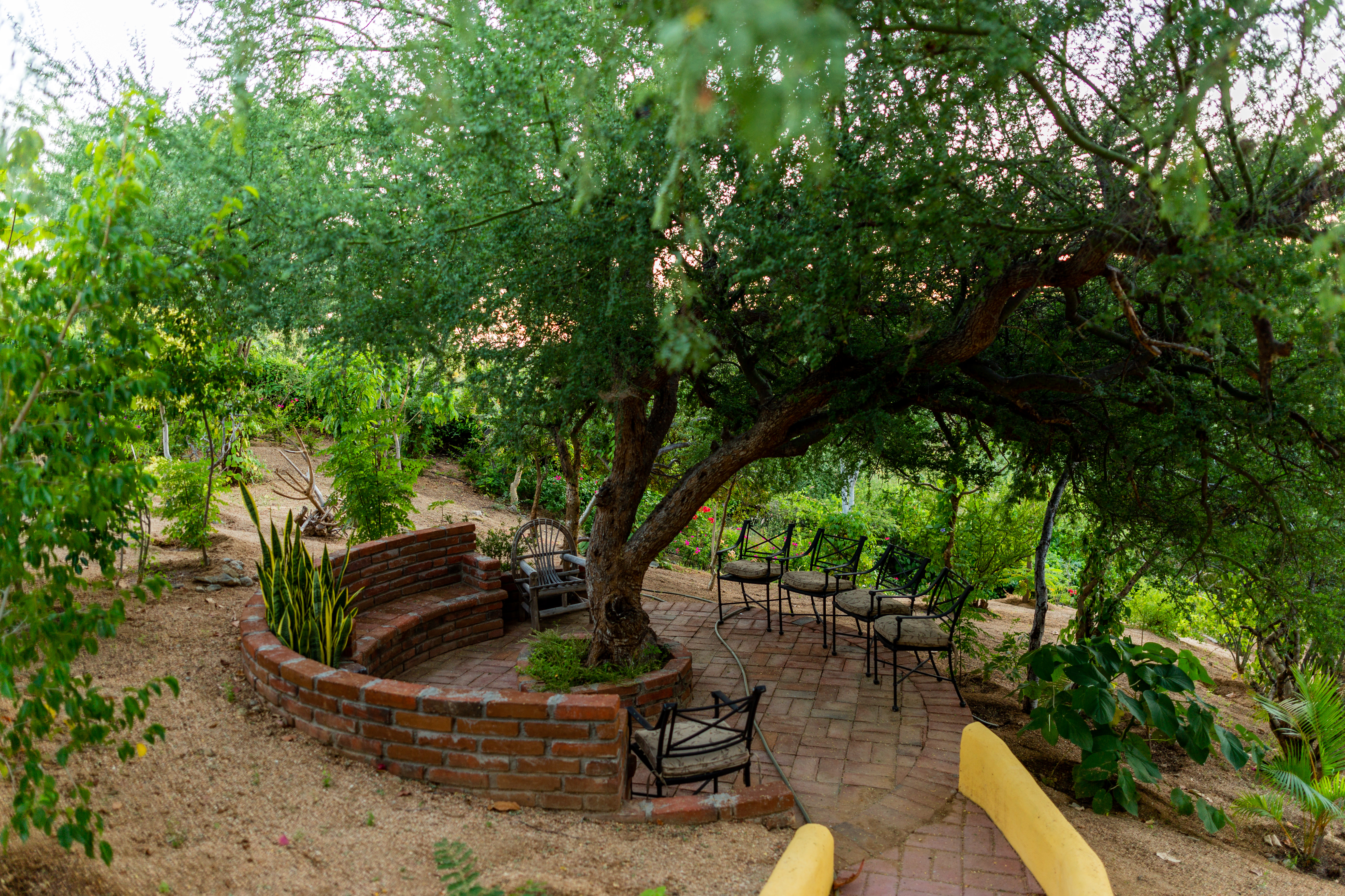 Rukhsana's Wellness & Heavenly Retreat 2