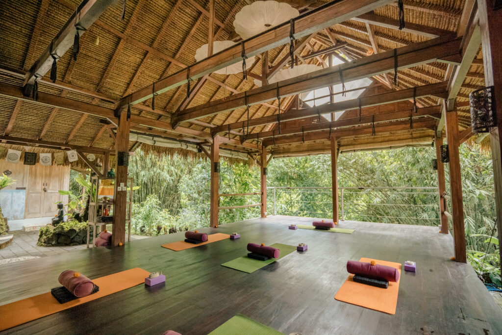 new life yoga 2