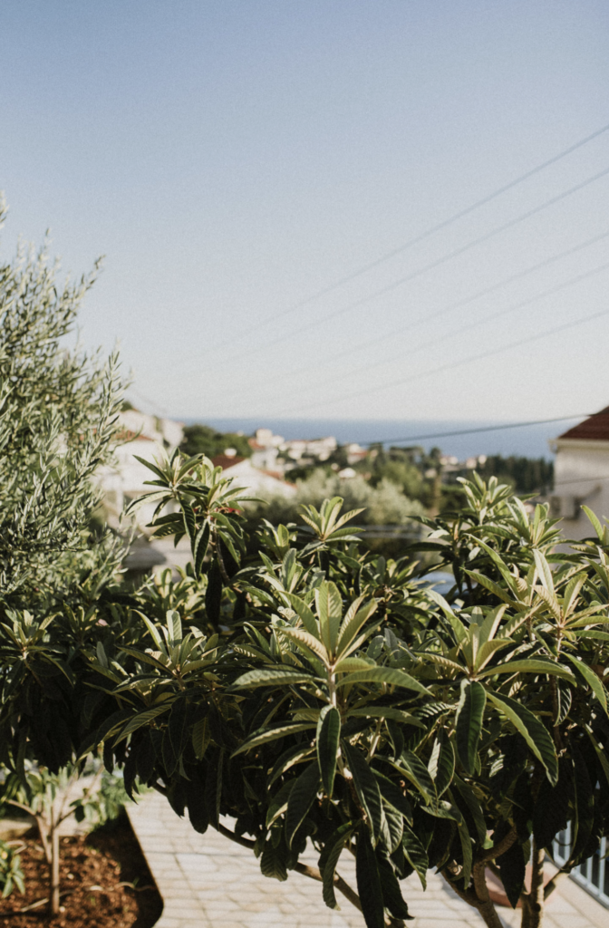 Dubrovnik Wellness 2