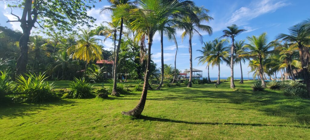 Brisa Bahía 3