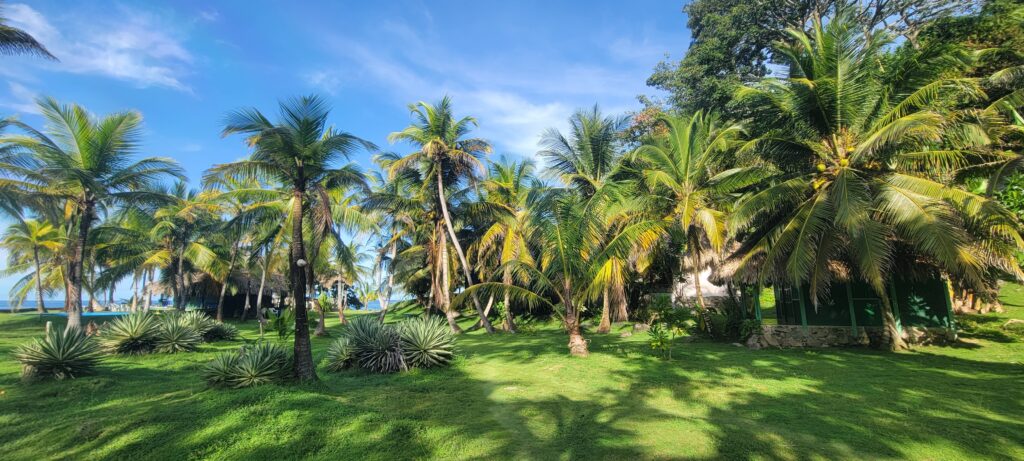 Brisa Bahía 2