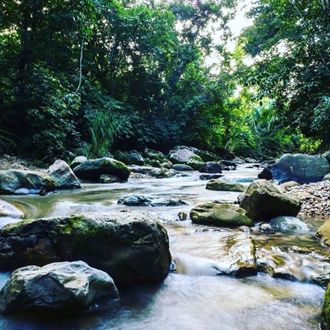 The Garden of Peace, Ayahuasca & Master Plant Center 6