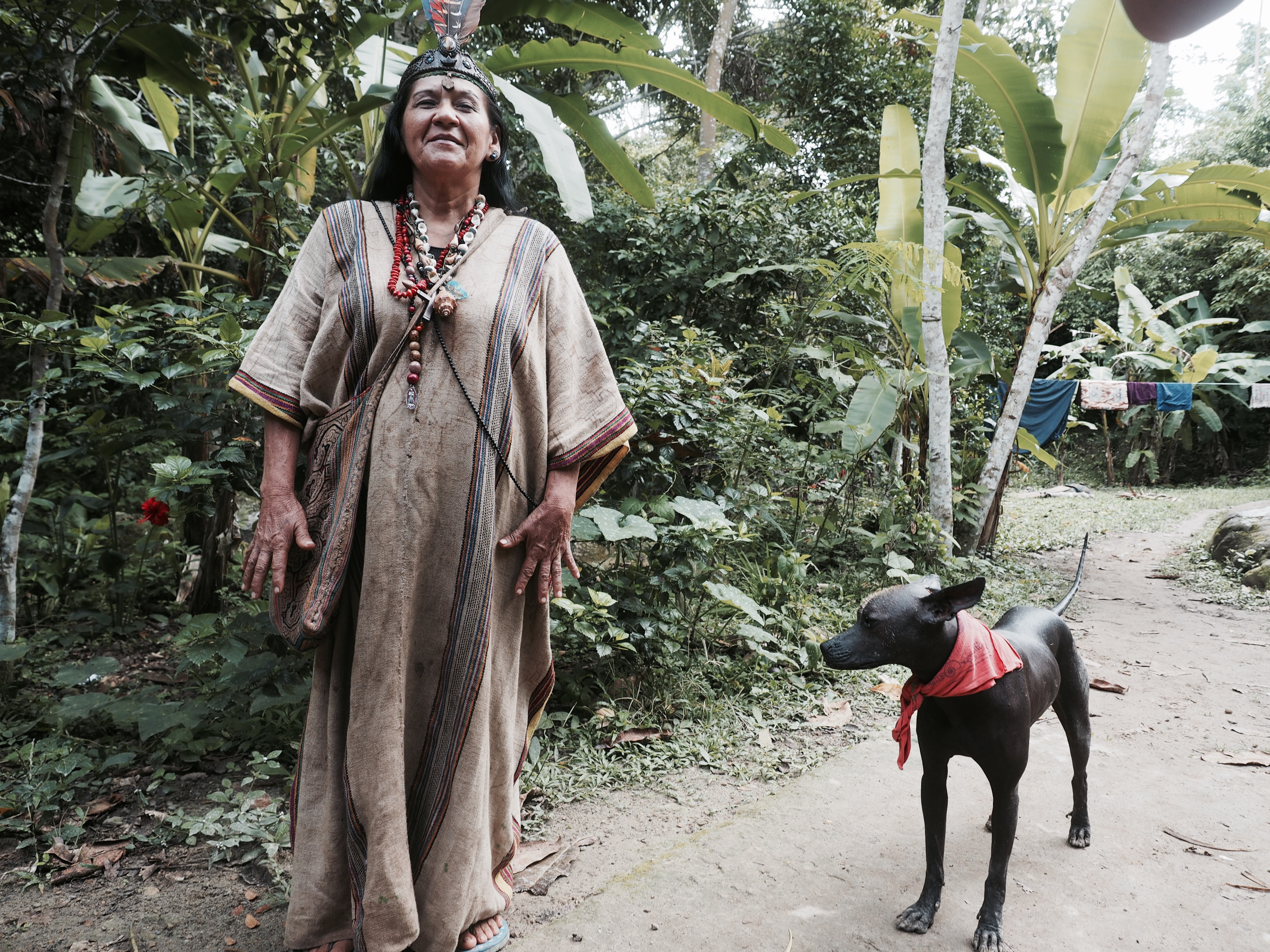 The Garden of Peace, Ayahuasca & Master Plant Center 8