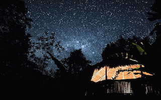 The Garden of Peace, Ayahuasca & Master Plant Center 7