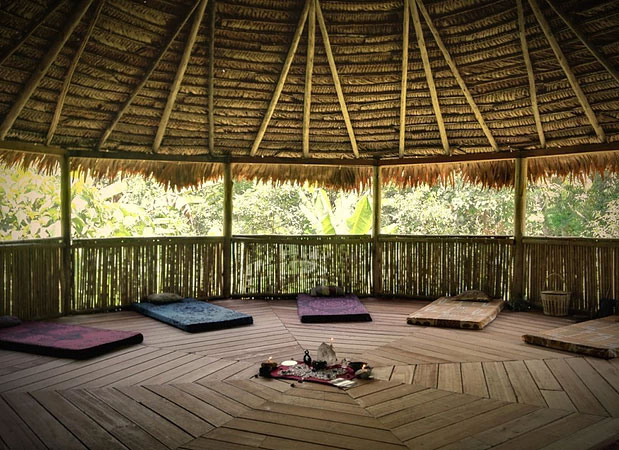 The Garden of Peace, Ayahuasca & Master Plant Center 3