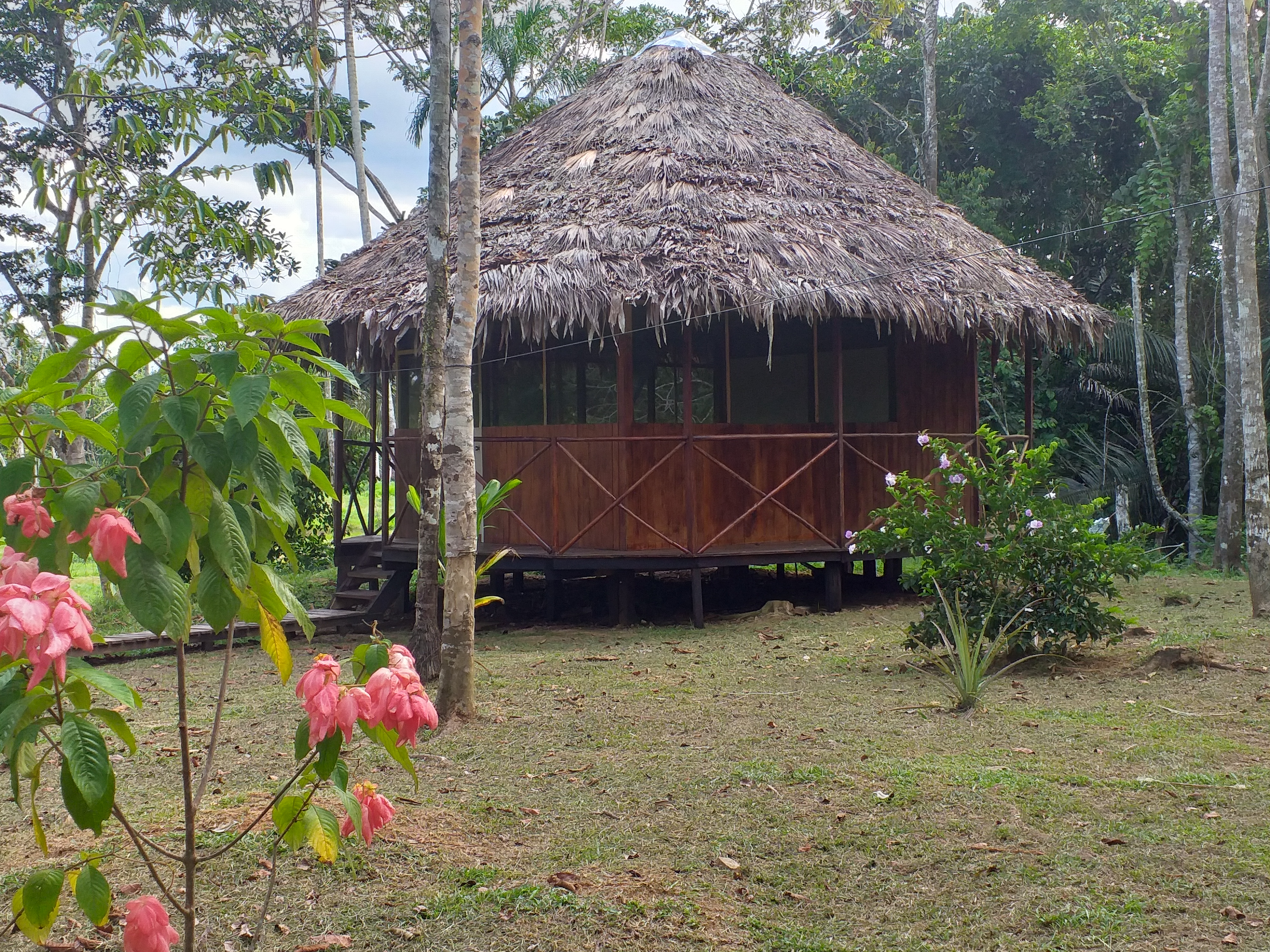 Lupuna Ayahuasca Healing Center 6