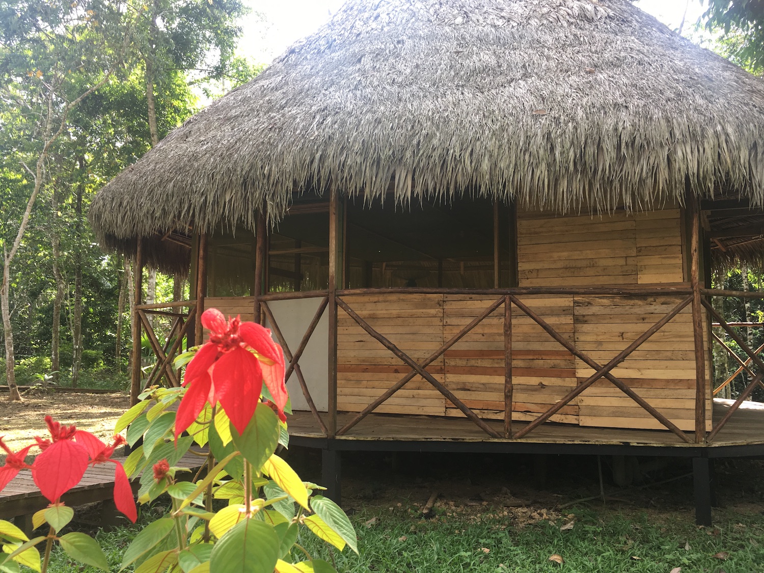 Lupuna Ayahuasca Healing Center 7