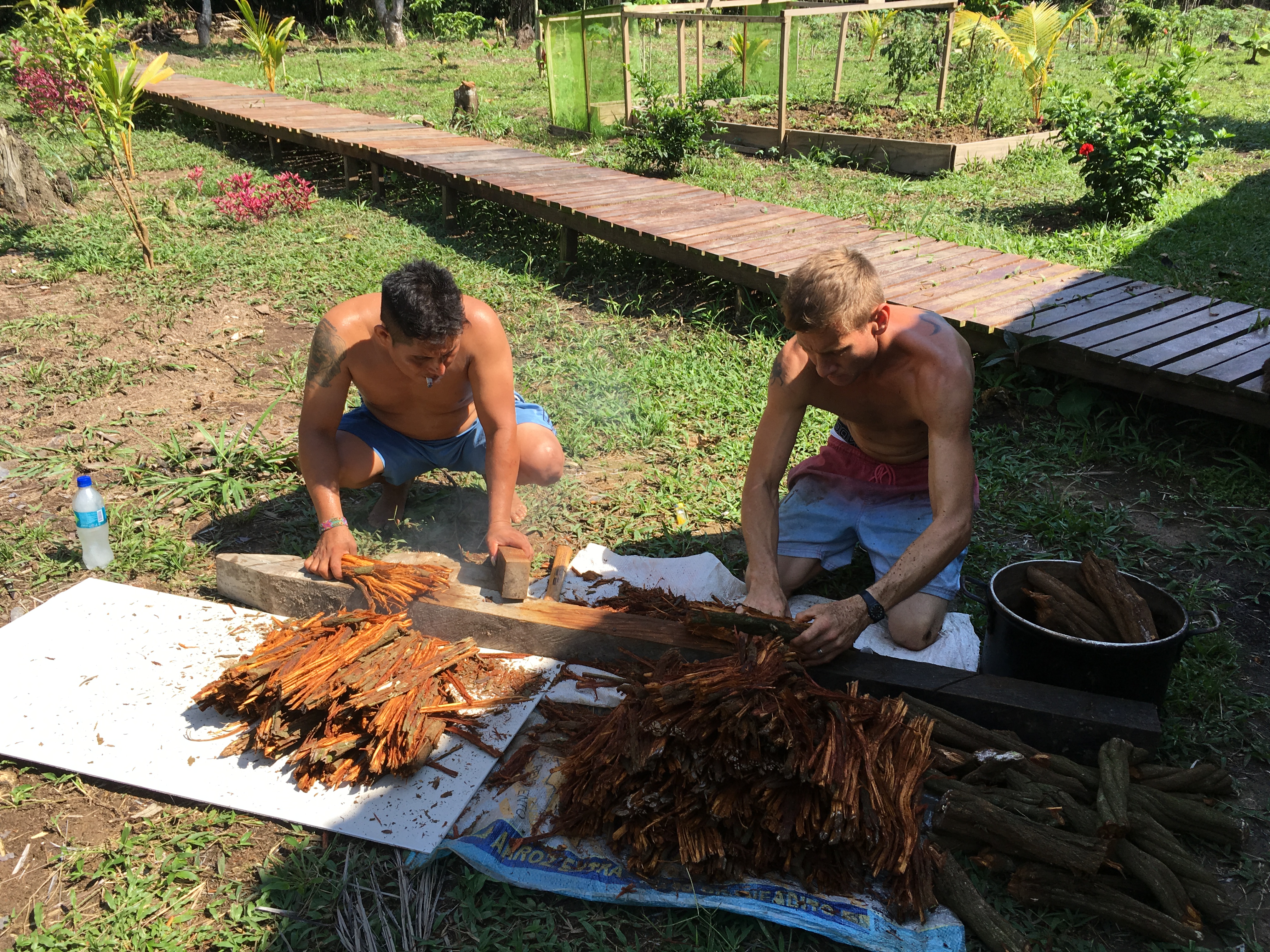 Lupuna Ayahuasca Healing Center 8