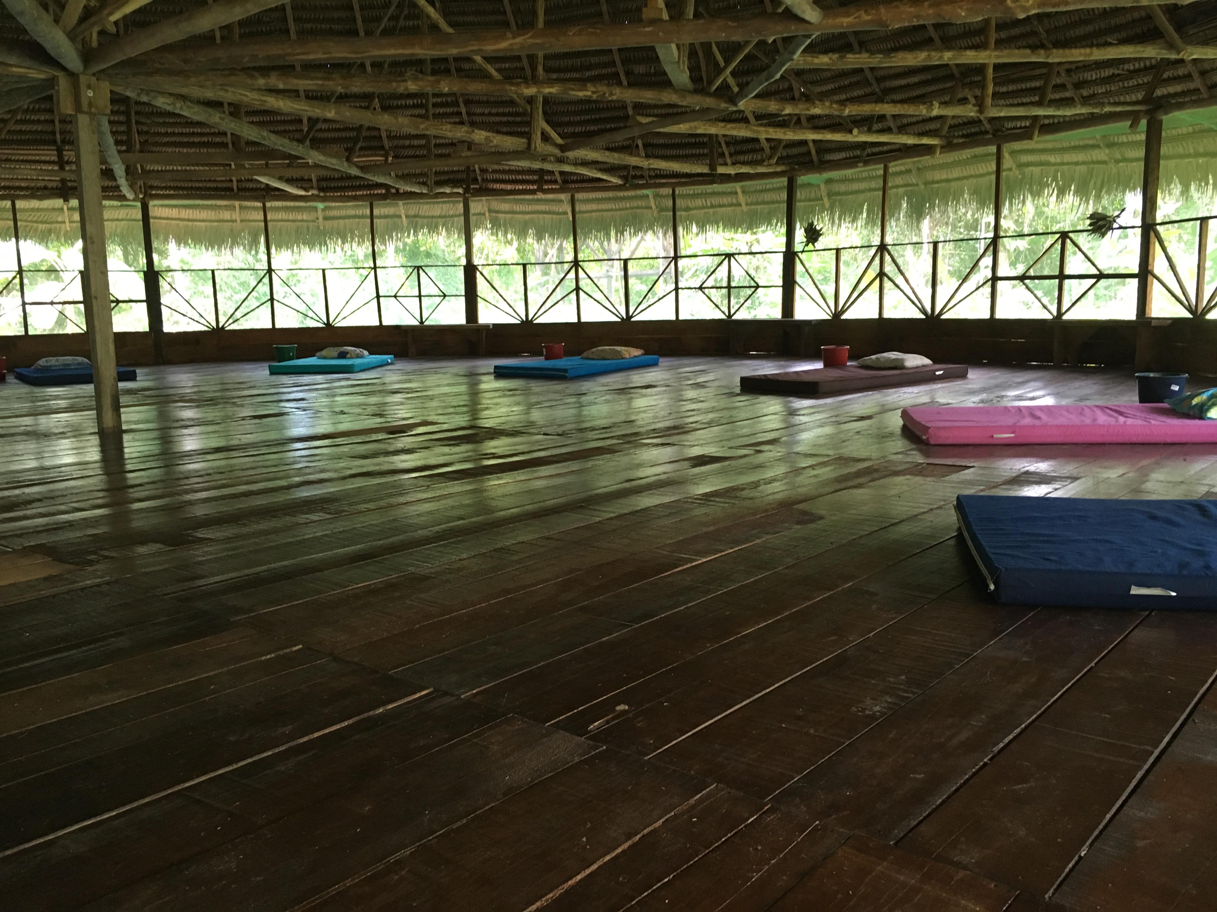 Lupuna Ayahuasca Healing Center 2