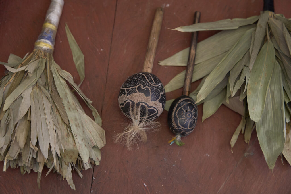 Luz del Amazonas 6