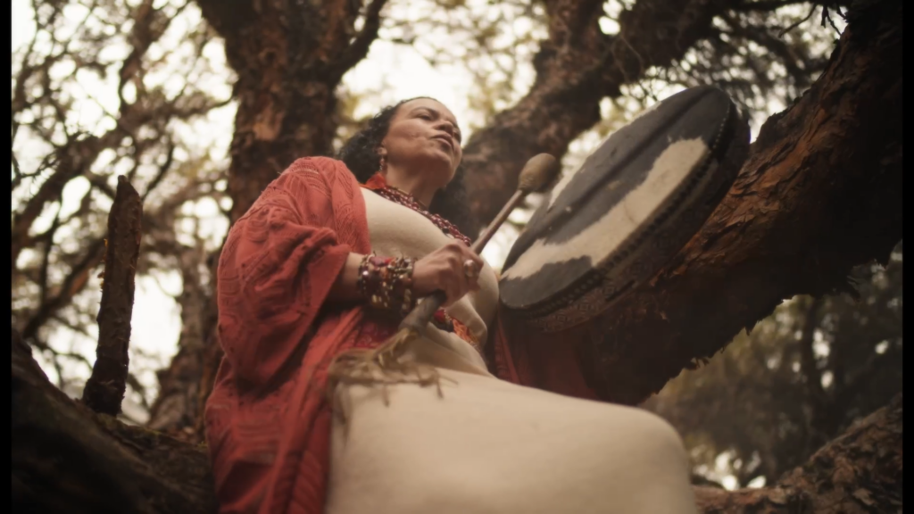 SHAMANIC RETREAT 6