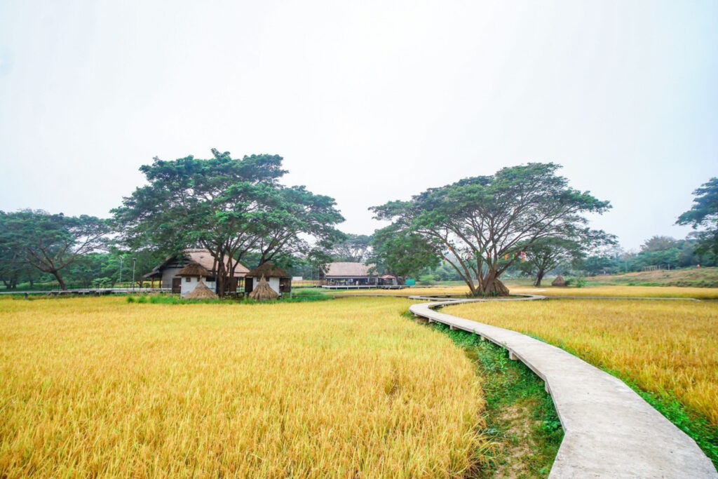 Pai Meditation Center 8