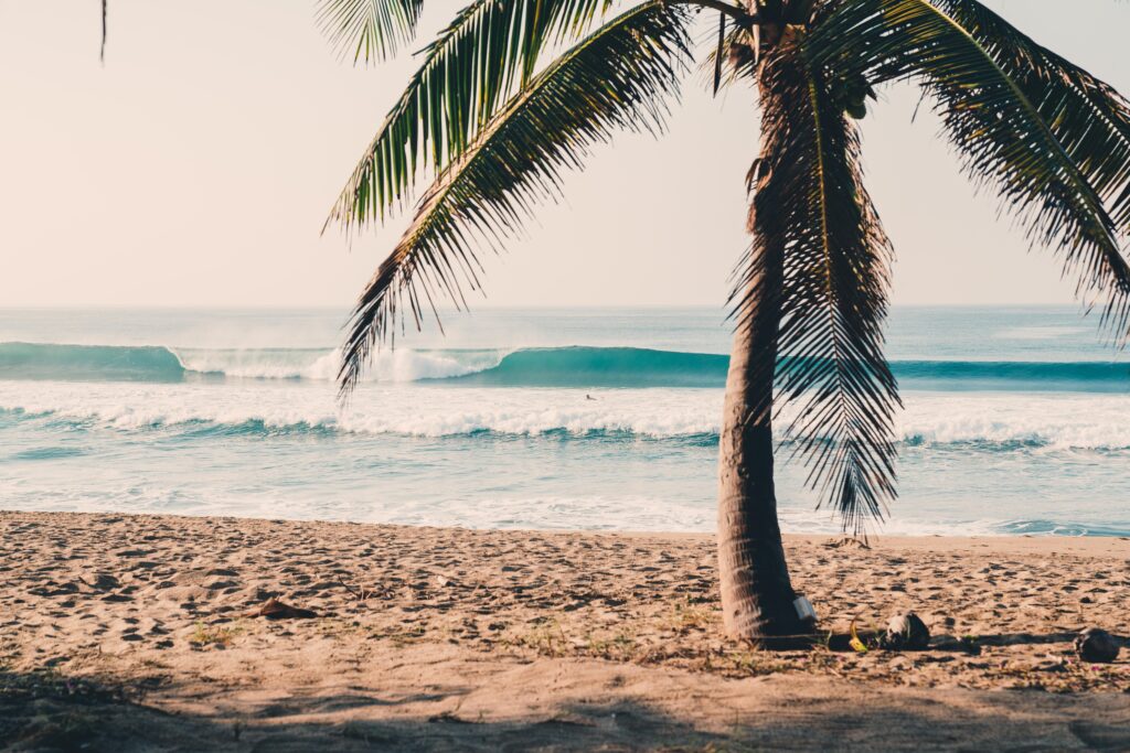 Couples Enrichment Retreat at Playa Viva Mexico 5